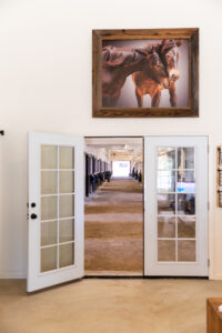 Kingfisher Farms Dairy Barn showing the clean stables.