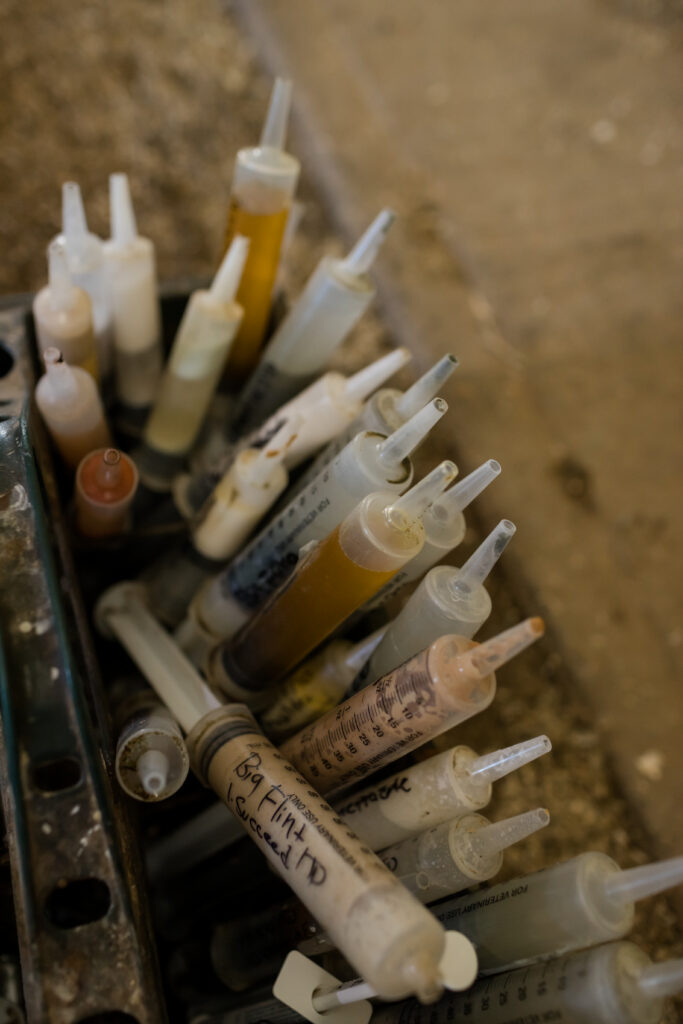 Kingfisher Farms in the Santa Ynez Valley showing a tool box filled with syringes and dewormers for the horses.