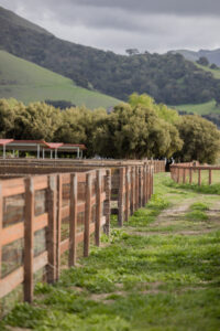 Fenced pasture with rolling green hills at Kingfisher Farms in Santa Ynez Valley