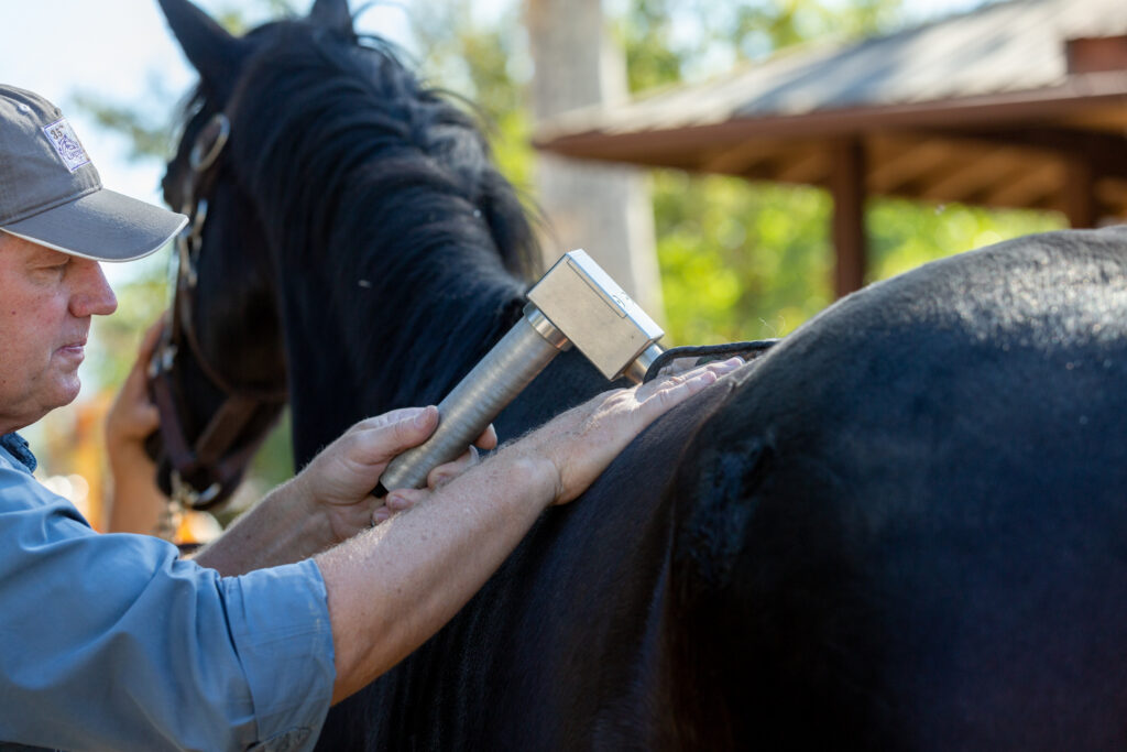 Kingfisher Farms employee using a Deep Muscle Stimulator to assist with recovery and therapies