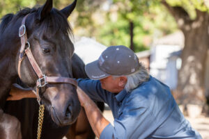 Kingfisher Farm - Todd