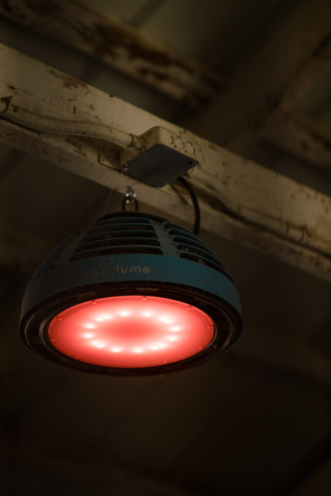 Kingfisher Farms in the Santa Ynez Valley uses Equilume Performance Lighting is a unique system that comprises fully automated, intelligent stable lights and mobile light masks designed to maximise health, growth and performance in  horses.