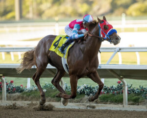 Spun Intended racing at Del Mar – Kingfisher Farms stallion