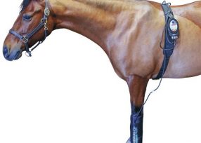 Kingfisher Farms use Pressure Ice in their therapy. Active compression therapy helps reduce swelling and reduce pain and a great support post work and post injury recovery.