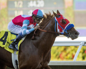 Spun Intended Racing Photo close up