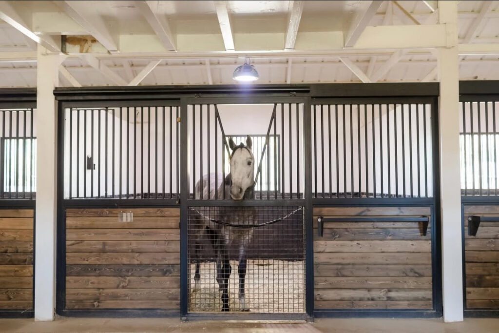 Stalls at Kingfisher Farms in the Santa Ynez Valley