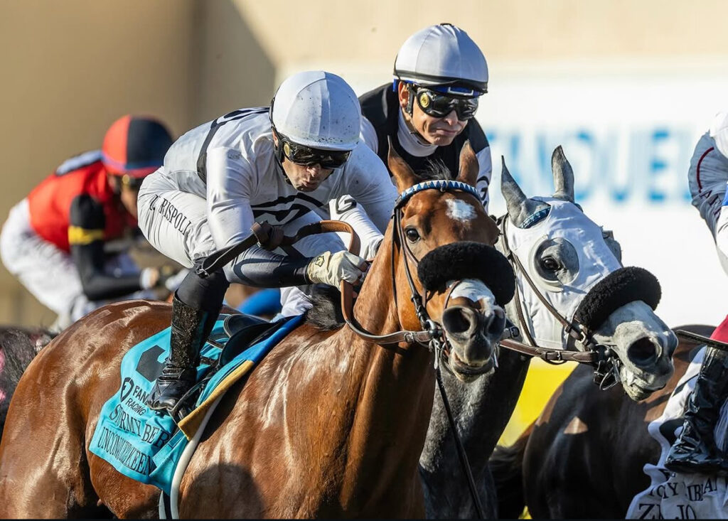 Kingfisher Farms in the Santa Ynez Valley Winner Alert with Unconquerable Keen