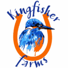 logo transparent bckgd