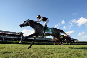 Halladay in full stride during his Grade 1 turf victory, a War Front son now standing at Kingfisher Farms in Santa Ynez