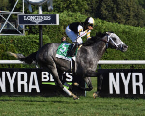 Halladay winning his Grade 1 race at Belmont Park, a War Front son standing at Kingfisher Farms in California.