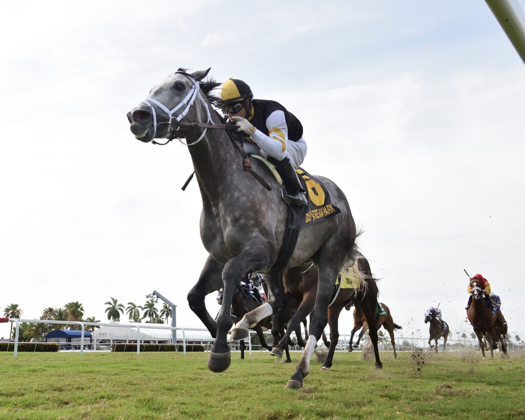 Halladay Grade 1 Campaign – Kingfisher Farms Stallion Halladay surging to the finish in his Grade 1 campaign, a War Front son now standing at Kingfisher Farms