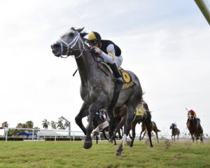 Halladay surging to the finish in his Grade 1 campaign, a War Front son now standing at Kingfisher Farms